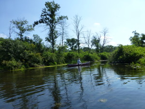 Mukwonago River