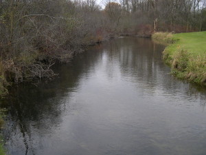 Slawski River in  Rainbow Springs